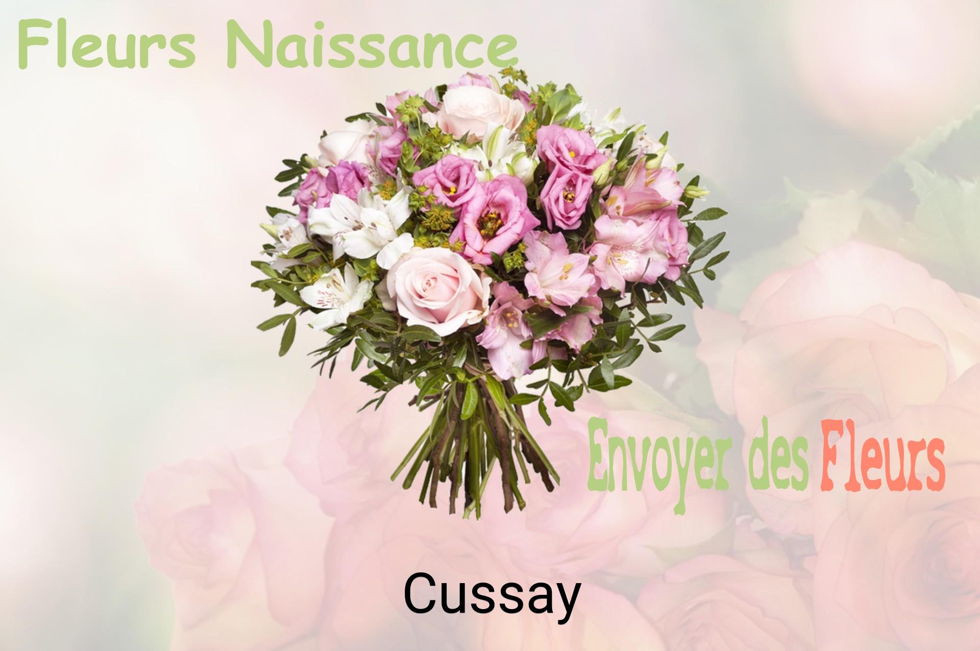 Bouquet de fleurs de naissance livré à Cussay