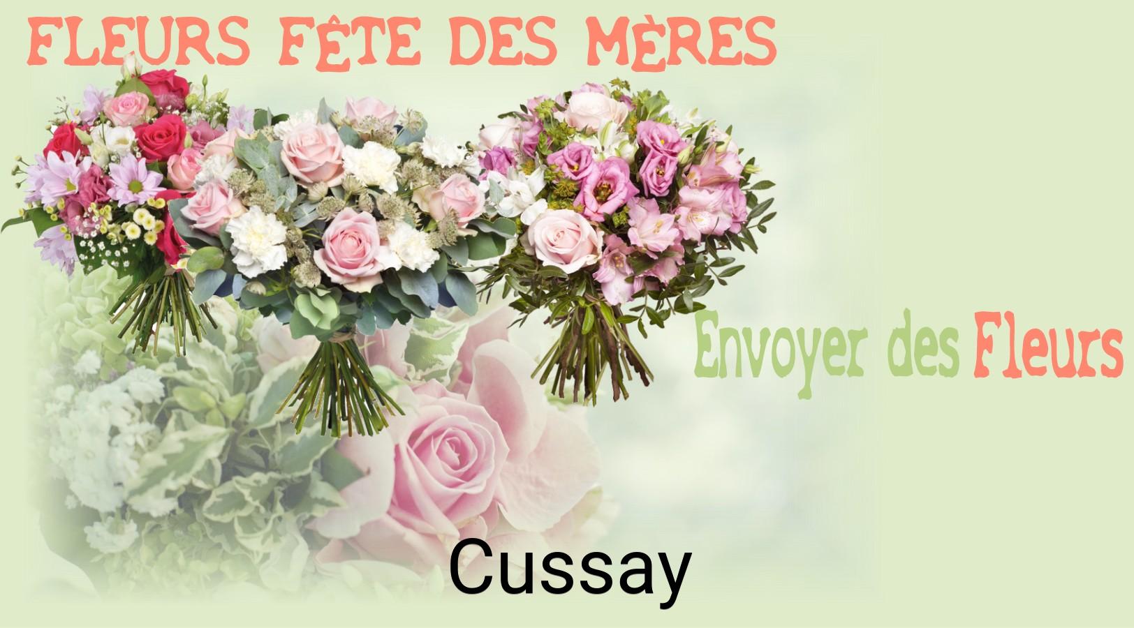 Bouquet de Fête des Mères livré à Cussay